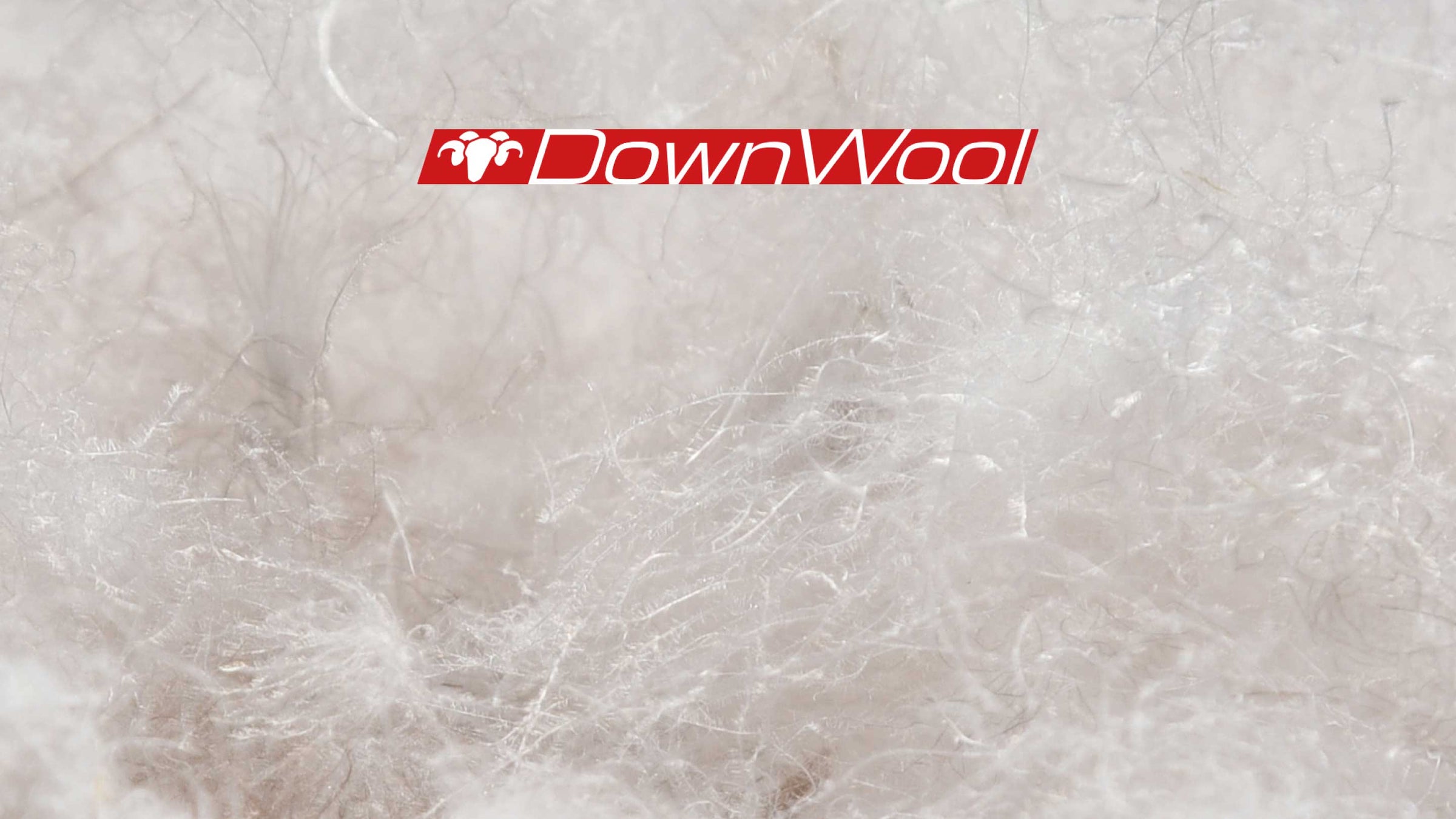 DownWool Isolation aus Daune und Wolle
