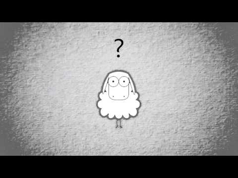 B-WARE - Biopod DownWool Nature