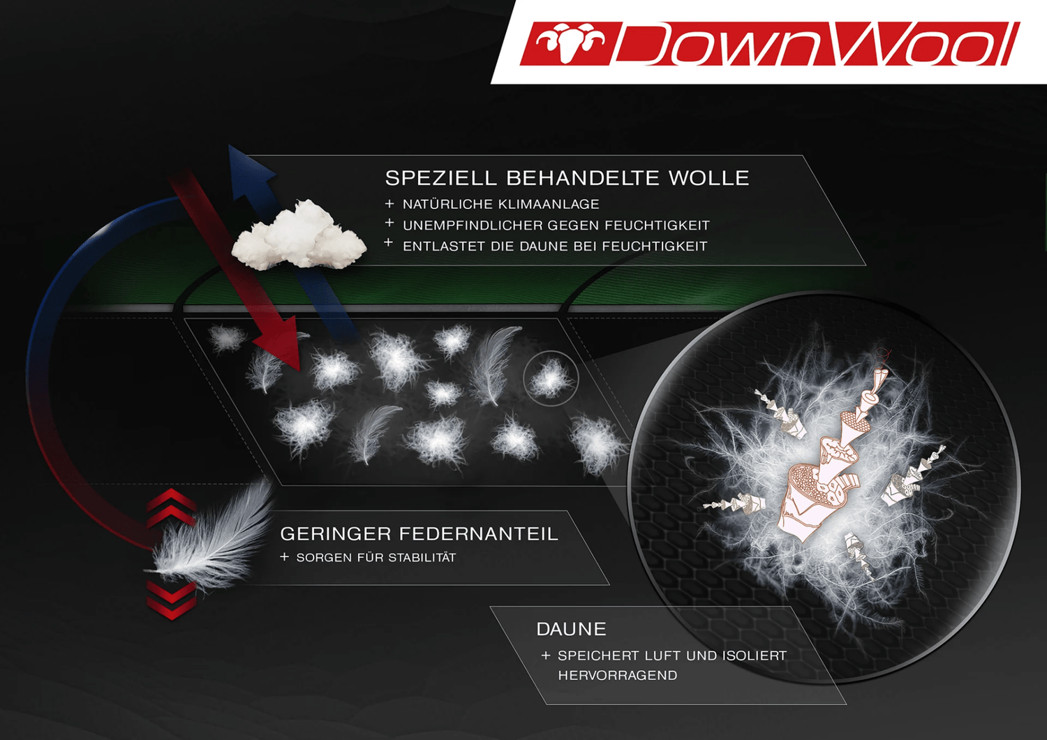 DownWool-Grafik: Zusammenspiel von speziell behandelter Wolle, Daune und einem geringen Federanteil